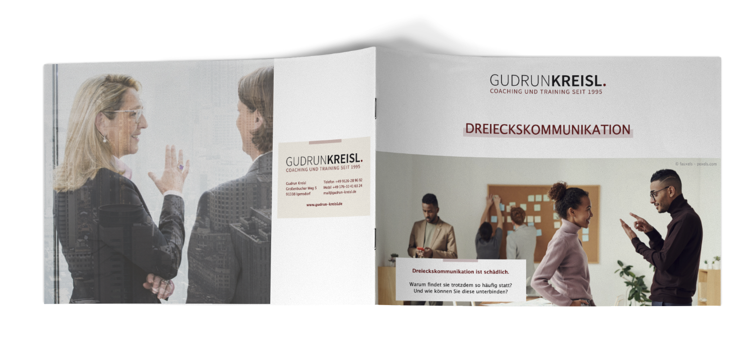 Whitepaper Dreieckskommunikation mit Gudrun Kreisl