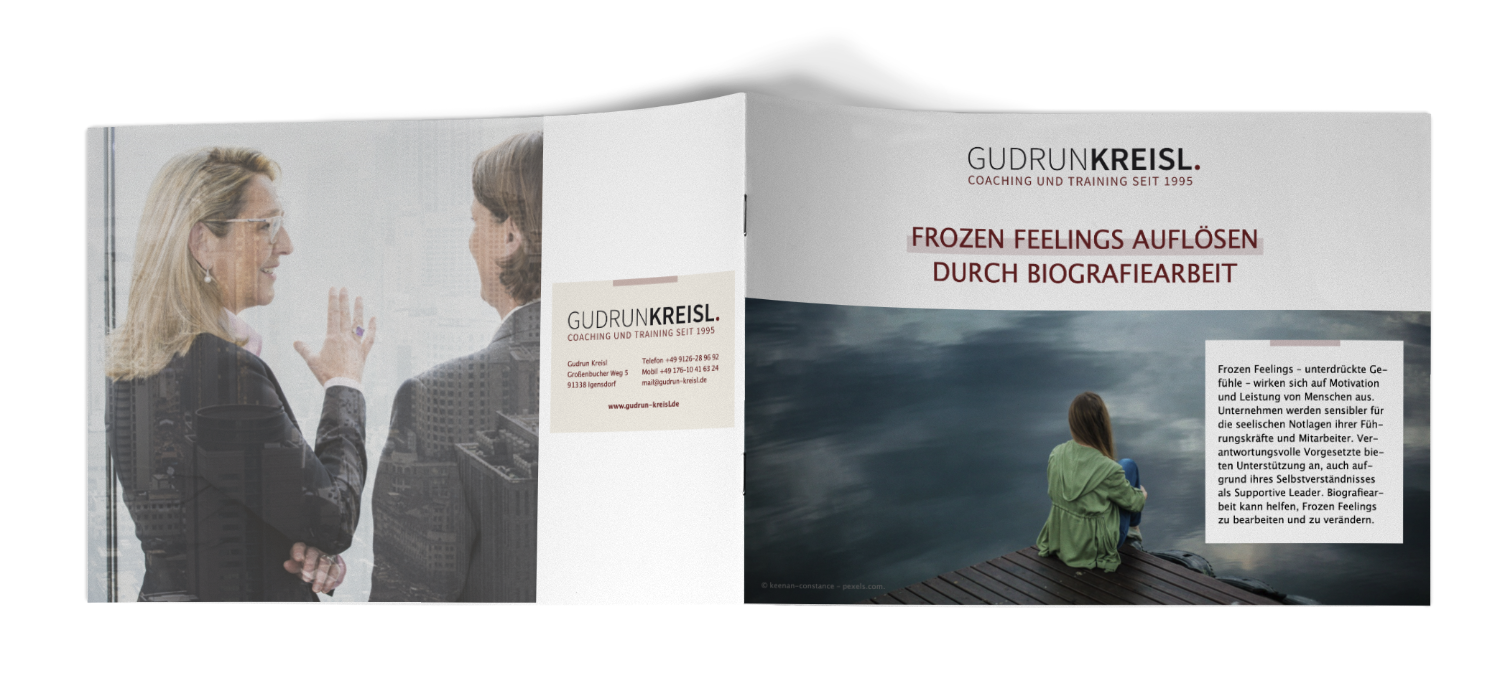 Mockup des Whitepapers Frozen Feelings von Gudrun Kreisl